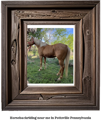 horseback riding near me in Pottsville, Pennsylvania